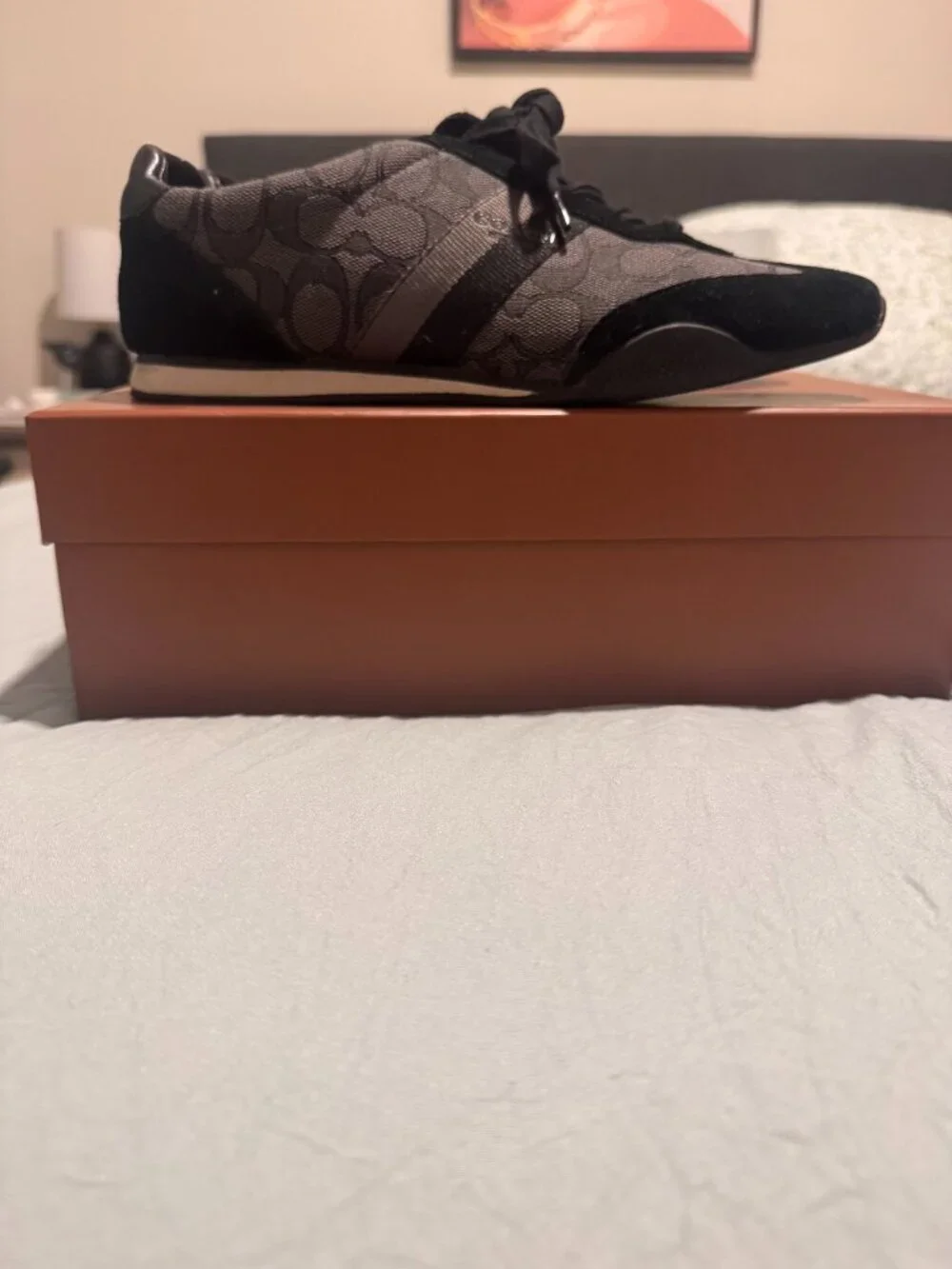 Coach Kelson Outline Signature/Suede sneakers